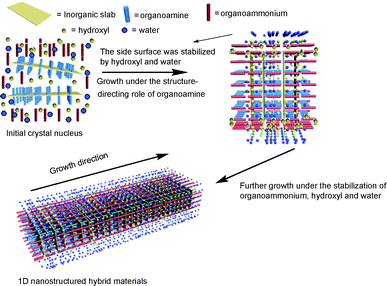 Illustration of the growth mechanism of 1D nanostructured molecular scale hybrid materials in mixed-solvent media.