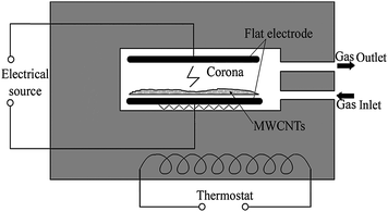 Schematic diagram of the corona discharge apparatus.