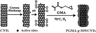 A suggested mechanism for the corona-discharge-induced graft polymerization.