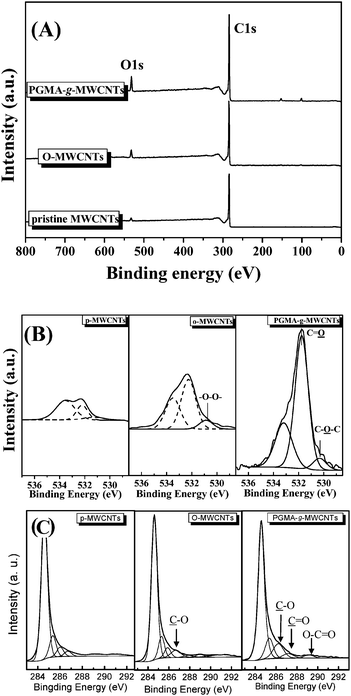 (A) XPS survey spectra, (B) O1s spectra, and (C) C1s core-level spectra of pristine MWCNTs, O-MWCNTs and PGMA-g-MWCNTs.