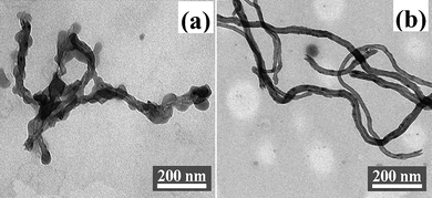 
          TEM images of (a) PGMA-g-MWCNTs, and (b) pristine MWCNTs.