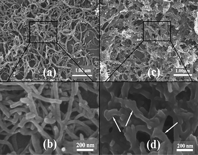 
          SEM images of pristine MWCNTs (a, b) and PGMA-g-MWCNTs (c, d).