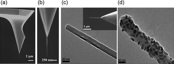 Various types of nanoneedles. (a) Scanning electron microscope (SEM) image of a carbon nanotube (CNT) nanoneedle attached to a standard atomic force microscope (AFM) tip. (b) Enlarged image of the CNT nanoneedle in (a). (c) Transmission electron microscope (TEM) image of the tip region of the CNT nanoneedle shown in the inset. Inset: SEM image of a CNT nanoneedle attached to an AFM tip. (d) TEM image of a CNT nanoneedle conjugated with nanoparticles. (a) and (b) reproduced with permission from ref. 29. Copyright 2007 American Chemical Society. (c) and (d) reproduced with permission from ref. 28. Copyright 2007 National Academy of Sciences, USA.