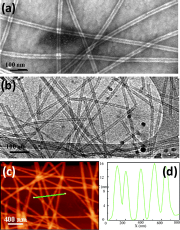 Transmission electron micrographs of the tubular structures formed and tapping-mode AFM analysis of peptide nanotubes on mica: (a) TEM image of Fmoc-L3 (sample was negatively stained with 2% uranyl acetate); (b) cryo-TEM micrograph of Fmoc-L3 hydrogel; (c) AFM image of Fmoc-L3; (d) height profile of the line shown in (c).