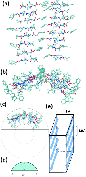 Structure of Fmoc-L3 16-mer in TIP3P water after initial minimisation and equilibration. The water molecules are omitted for clarity in the above figure: (a) front view, (b) top view schematic (not to scale) of a single molecular layer. (c) Top view schematic of a single Fmoc-L3 molecular layer nanotube, which was inferred from the part arc to a whole tube. (d) Schematic of calculation method of nanotube radius. (e) Schematic of layer inter-sheet model.