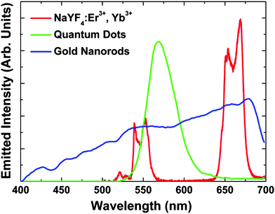 
          Two-photon visible emission spectrum generated by the NaYF4 : Er3+, Yb3+NPs (1 wt% in water) used in this work as obtained after excitation with femtosecond NIR pulses (920 nm, 100 fs) showing the green 2H11/2, 4S3/2 → 4I15/2 emission (500 to 575 nm) and the red 4F9/2 → 4I15/2 emission (625 to 700 nm). The two-photon emission spectra obtained from GNRs (10–15 nm in length)18 and QDs (3.4 nm)14 under fs excitation are also shown for comparison.