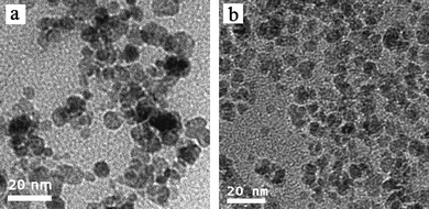 
            TEM images of (a) MPEG-b-PDEAEMA-b-PGMA-Fe3O4nanoparticles and (b) MPEG-b-PDMAEMA-b-PGMA-Fe3O4nanoparticles.