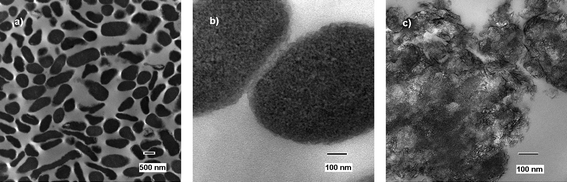 
              TEM micrographs of untreated (a and b) and treated (c) E. coli cells.