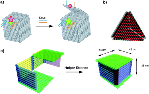 3D DNA polyhedra made with origami faces. (a) A DNA origami box with controllable lid. (b) A DNA tetrahedron. (c) A box-shaped 3D origami with two-step folding mechanism. [Part (a) reprinted with permission from ref. 33. © 2009 Nature Publishing Group. Part (b) reprinted with permission from ref. 34. © 2009 American Chemical Society].