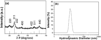 (a) X-Ray diffraction pattern from the oleate-coated magnetic nanocrystallites (bottom lines represent the diffraction pattern from the iron oxide spinel structure, JCPDS no. 19-0629) and (b) the corresponding Dh distribution after their dispersion in THF.