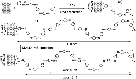 Synthesis and proposed fragmentations of (a) SWNT–(A4)x or MWNT–(A4)x and (b) SWNT–(A16)x or MWNT–(A16)x under experimental MALDI-MS conditions.