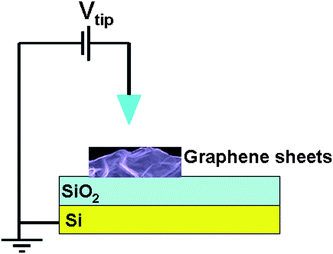 Overview of the experiment. FLG sheets are deposited on a SiO2 substrate on a highly-doped Si ground plane. Sample topography and EFM phase are imaged simultaneously.