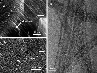 SEM images: a) side-views (inset displays the enlarged image) and b) top-views (inset presents the higher magnification image) of long CNT arrays; scale bar = 100 nm in the insets; c) High-resolution transmission electron microscopy (HRTEM) image of CNTs.