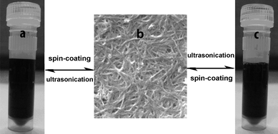 The reversible water-soluble performance of the composite films.