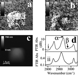 Study of poly(styrene), (a), Topography AFM image, (b) on-resonance absorption image and (c) off-resonance absorption image. (d) Spectra showing (i) AFMIR response (ii) and FTIR response of poly(styrene) to IR. Reproduced with permission from ref. 32. Copyright Optical Society of America 2001.
