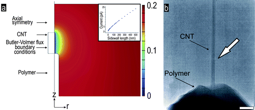 (a) FE computed reduced species concentration near the surface of nanoelectrode (radius = 20 nm, α = 0.675, k0 = 1.45 cm s−1, E = 0.5 V). Inset: FE computed steady-state current for our nanoelectrode geometry: radius = 10 nm, α = 0.66, k0 = 1.52 cm s−1, E = 0.5 V, and varying lengths of the CNT sidewall. (b) TEM pictograph of the exposed CNT (white arrow pointing at the residual polymer layer). Scale bar: 50 nm.