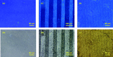 Fluorescence microscope images of ATTO-425 functionalized SAM of zeolite L on glass by mCP. Excitation in the region of 360–370 nm: non-patterned (a), patterned (50 μm–10 μm) (c and e). White light image: non-patterned (b), patterned (50 μm–10 μm) (d and f).