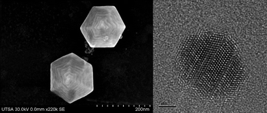 
            High-resolution SEM image of a hexagonal-shaped gold nanoparticles presenting steps on the surface. b) High-resolution TEM image of a gold nanoparticle where linear defects are observed.