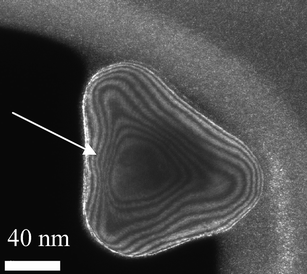 
            WBDF TEM image of a gold nanoparticle, where contour lines representing the thickness are observed.