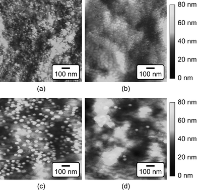 Tapping mode AFM images of the (a,c) damaged and (b,d) undamaged tissue surfaces on bovine cortical bone specimens labeled by (a,b) 15 nm and (c,d) 40 nm functionalized Au NPs. Note that images of undamaged tissue surface showed little or no presence of Au NPs.