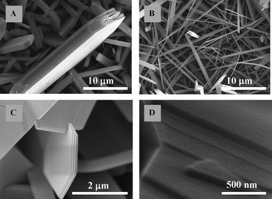 SEM images of MoO3 deposited on Si and SiO2 at (A) low gas flow rate and (B) high gas flow rate (C, D) at different scales.