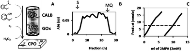 CPO-catalyzed formation of tetraguaiacol from 2-methoxyphenol and H2O2, which was obtained from 2MPA and glucose, respectively, by feeding these substrates through stacked HA hydrogels containing GOx and CALB (A). Shown are; the absorbance of the product fractions collected in a 96-well plate (B), the yield (nmol) determined for product fractions of larger volume collected in 1 ml cuvettes (C; straight lines) and the absorbance level of the substrate solution after incubation with the free system (C; dashed line).