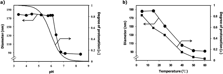 a) pH dependency of the diameter (circle) and degree of protonation (α) of the PEGylated nanogels at 25 °C. b) Temperature dependency of the diameter (circle) and degree of protonation (α) of the PEGylated nanogels at pH 6.