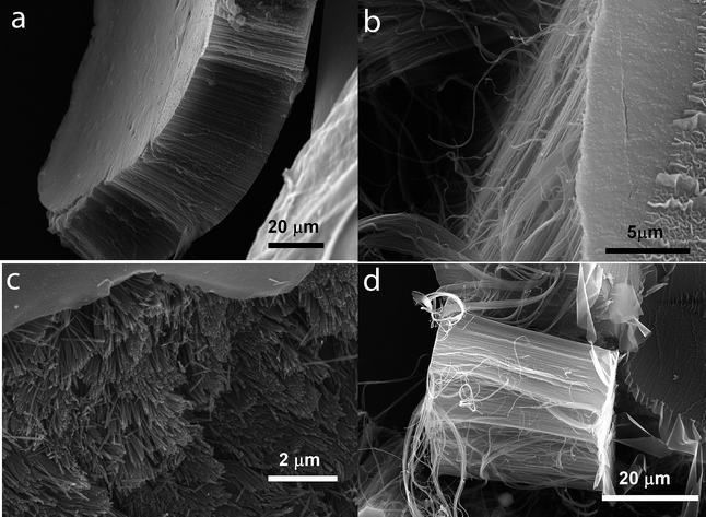 SEM micrographs showing the block arrangement of the CNTs. The nominal pore diameter of the CNTs is 40 ± 5 nm. Distance of the tubes is the same. (a) The complete block structure with top and bottom layers, (b) side-view showing the parallel arrangement of the CNTs in the block, (c) view on top of the CNTs with the top layer removed and (d) side-view of the complete CNT block structure.