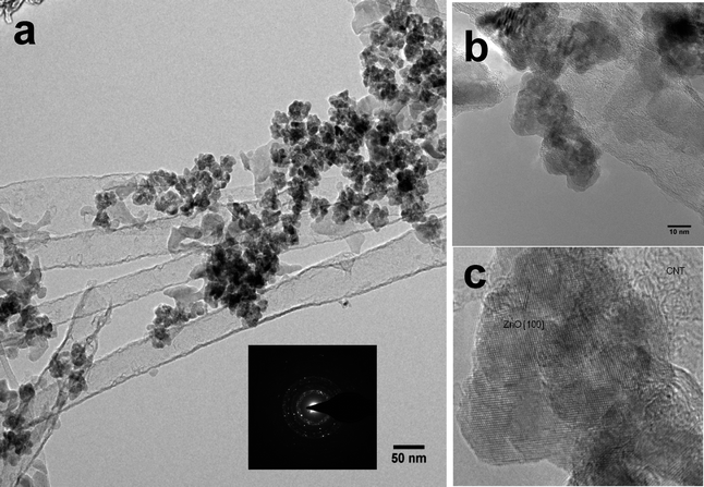 (a) and (b) TEM images of the ZnO/CNT3D nanocomposite depicting the presence of ZnO nanoparticles inside the CNT monolith at two different magnifications. (c) ZnO lattice fringe of the [100] plane, indicating the interface between ZnO and CNTs. Inset: SAED pattern of the ZnO/CNT3D nanocomposite (corresponding to the area shown in b).