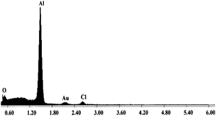 EDX spectrum of Al/PVP composite.