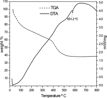 TG-DTA curves of Al/PMMA composite after purification.