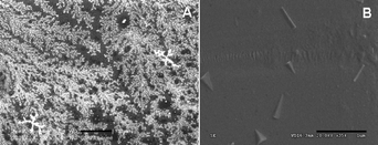 (A) SEM image (scale bar 10 μm), (B) FESEM image (scale bar 1 μm) obtained for the Al in PMMA (Al : PMMA = 1 : 1).