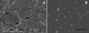 (A) SEM image (scale bar 1 μm), (B) FESEM image (scale bar 1 μm) obtained for the Al in PVP (Al : PVP = 1 : 1).