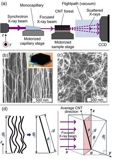 (a) Schematic drawing of the X-ray scattering setup used for this study. Here, the source beam passes through a monocapillary, which focuses the X-rays to a ≈40-μm spotsize beam as it scatters/transmits through the CNT sample to the CCD detector for data collection. SEM images at the (b) midline and (c) base of a CNT forest grown at Ts/Tp = 750/1000 °C (inset shows optical image of forest). (d) Schematic of a representative volume element in the X-ray beam path.