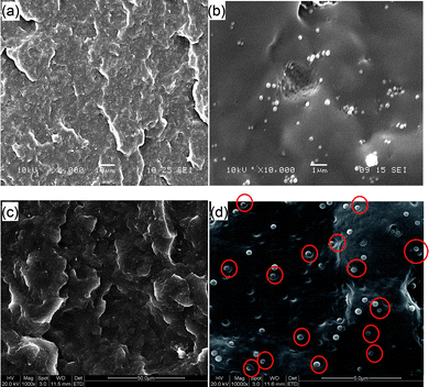 SEM images of impact-fractured PP–silica composites. (a) Low- (×1000), and (b) high- (×10 000) magnification images of composites filled with pristine sol–gel silica. (c) Low- (×1000), and (d) high- (×10 000) magnification images of composites filled with Si-2. Red circles in (d) show typical PP/Si-2 interface debonding and plastic void expansion in the PP matrix.