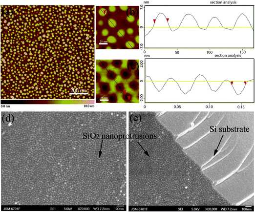 (a) AFM topography image of print-etched nanoprotrusions on silicon; (b) AFM topography image of print-etched nanoprotrusion on silicon, and the apparent topographic AFM profile taken along the line on the left; (c) AFM topography image of self-assembled PS-b-PEO blocks films, and apparent topographic AFM profile taken along the line on the left. The height scales are respectively 10 nm, 15 nm and 5 nm; (d) Top-view and (e) cross-sectional FESEM images of print-etched nanoprotrusions on silicon.