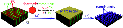 Schematic diagram of the synthesis of nanoprotrusions (b), on silicon by direct print diffusion etching with flat agarose gel saturated with HF/NH4F on self-assembled PS-b-PEO templates (a).