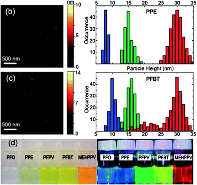 (b) Typical the atomic force microscopy (AFM) image of small PPE dots and histograms of particle height of the PPE dots prepared with different precursor concentration; (c) typical AFM image of small PFBT dots and histograms of particle height of the PFBT dots prepared with different precursor concentrations; (d) photographs of aqueous CPNs suspensions under room light (left) and UV light (right) illumination. Reprinted with permission from ref. 11 (Copyright 2008 The American Chemical Society).