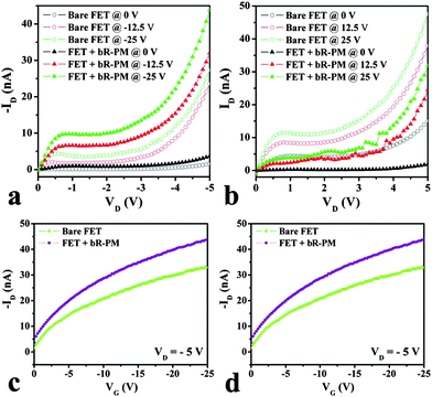 Effect of bR-PM on the TiO2 nanowires FET in the output (ID–VD) characteristics within (a) the negative gate voltage region and (b) the positive gate voltage region; and in the transfer (ID–VG) characteristics within the (c) negative gate voltage region and the (d) positive gate voltage region.