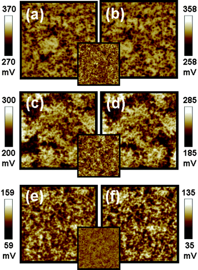 Surface potential mappings in the dark (a,c,e) and under illumination (b,d,f) of P3HT:TiO2 films made with different solvents on PEDOT:PSS/ITO substrate. (a,b) The film made with chloroform, (c,d) the film made with trichlorobenzene, (e,f) the film made with chlorobenzene respectively. The insets are topographic images for P3HT:TiO2 films fabricated from different solvents. These image sizes are 5 × 5 μm.