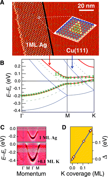 Surface band transformation of Cu(111) by Ag-induced dislocation networks and potassium doping. (a) Ag nanostripe attached to a Cu(111) surface step, featuring a characteristic array of triangular misfit dislocations. The dislocations involve removal of five topmost copper atoms (blue circles in the inset) and shifting of ten copper atoms inside the triangle (green circles), avoiding on-top positions of silver atoms (open red circles). (b) Surface bands for clean Cu(111) (blue), the Ag monolayer without triangular dislocations (low-temperature Moiré, dotted), and with triangles (300 K, red). For the latter, the band structure is obtained from a simple model calculation (curves) that fits photoemission data at 300 K (symbols). (c) Surface bands measured with angle-resolved photoemission in the Ag/Cu(111) monolayer (top) and after adding 0.1 monolayers of potassium (bottom). The latter changes the surface chemical potential (i.e., the Fermi level position). (d) Measured Fermi-level shift as a function of potassium coverage.