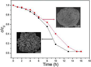 Adsorption rate of Rh B on La2(MoO4)3 microflowers with an average size of 7.5 μm (S1) and microspheres with an average size of 1.2 μm (S5).