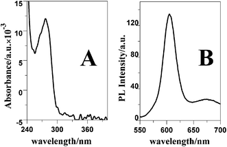 UV (A) and PL (B) spectra of the QDs in 0.1 M PBS (pH 7.4). The PL excitation wavelength was 360 nm.