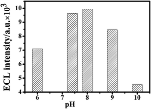 Effect of pH on the ECL response of the aptasensor. The electrolyte: PBS+ solution containing 0.1 M K2S2O8 and 0.1 M KCl with pH value range from 6.0, 7.4, 8.0, 9.0 to 10.0. The voltage of the photomultiplier tube was 600 V and the scan rate 100 mV s−1.