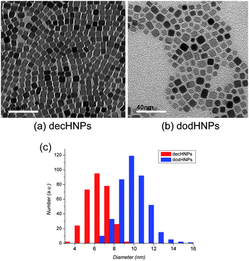 TEM images of (a) decHNPs (b) dodHNPs and (c) size distribution histogram of HNPs.