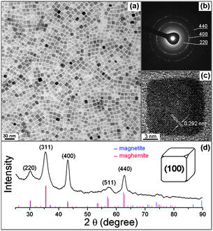 (a) A typical TEM image of as-synthesized iron oxide nanocubes. (b) The TEM selected area electron diffraction (SAED) pattern of these cubes. (c) A high resolution TEM image of a single iron oxide cube. (d) X-Ray powder diffraction patterns of cubic iron oxide NCs (the inset shows a (100) faceted spinel iron oxide cube).