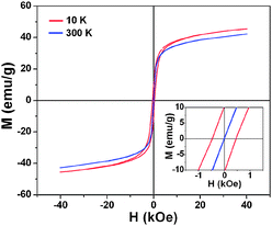 The hysteresis loops of as-synthesized cubic iron oxide NCs at 10 K (red) and 300 K (blue). The inset shows the enlarged partial hysteresis curves between ±4.0 Tesla. The NCs show superparamagnetic properties at 300 K and ferromagnetic behavior at 10 K.