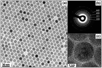 A typical TEM image of the spherical iron oxide NCs synthesized by modifying the recipe. (b) The TEM selected area electron diffraction (SAED) pattern of these NCs. (c) A high resolution TEM image of a single nanocrystal.