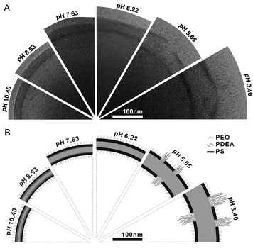 Reversible change of the PEG-b-PS-b-PDEAMA membrane upon pH change. (A) Cryo-TEM images of the vesicle wall structure at several pH values. (B) Schematic illustration of the presumed membrane structure at corresponding pH values. (Reprinted with permission from ref. 19).