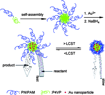 Thermoresponsive polymer micelles encapsulating Au nanoparticles in the core. Thermoresponsive PNIPAAm corona controls the access of small reagents into the nanoparticles residing in the core of the micelle. (Reprinted with permission from ref. 49).